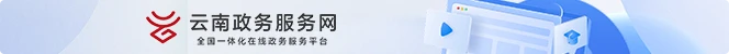 云南省政务服务网